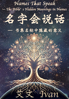 苹果书店购买